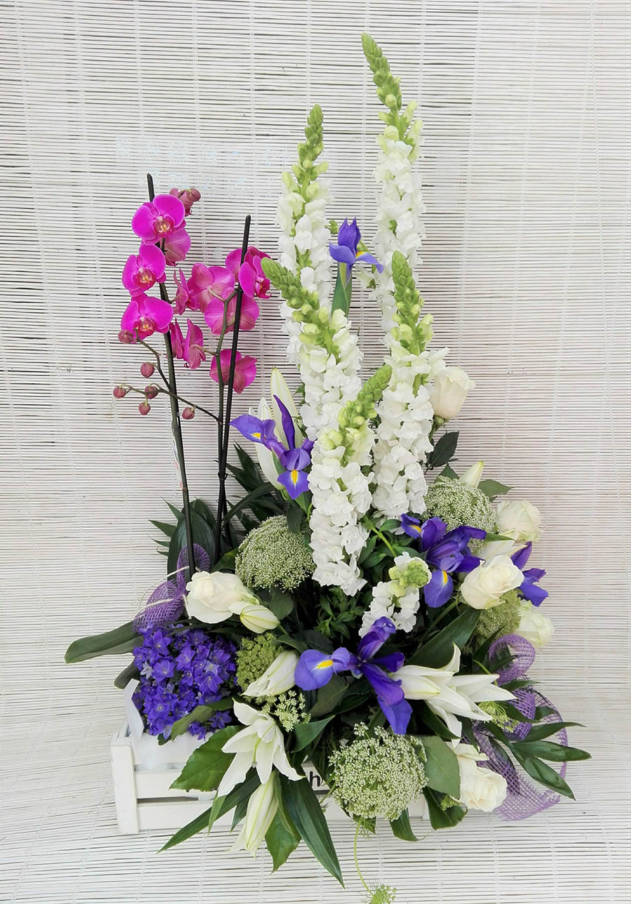 Caja Mixta
