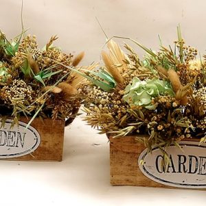 Cajón Garden