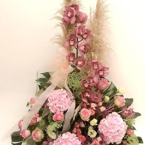 Centro Orquídeas