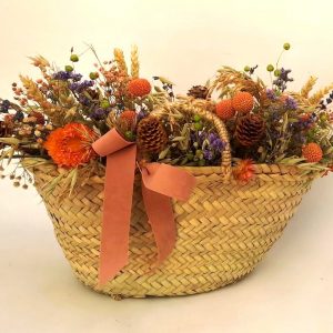 Cesta Campiña