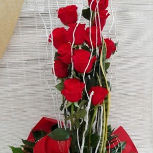 Paralelos con rosas